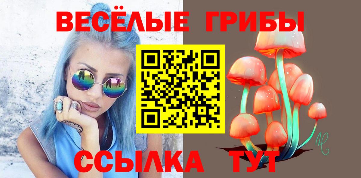 Псилоцибиновые грибы MAGIC MUSHROOMS Кудрово