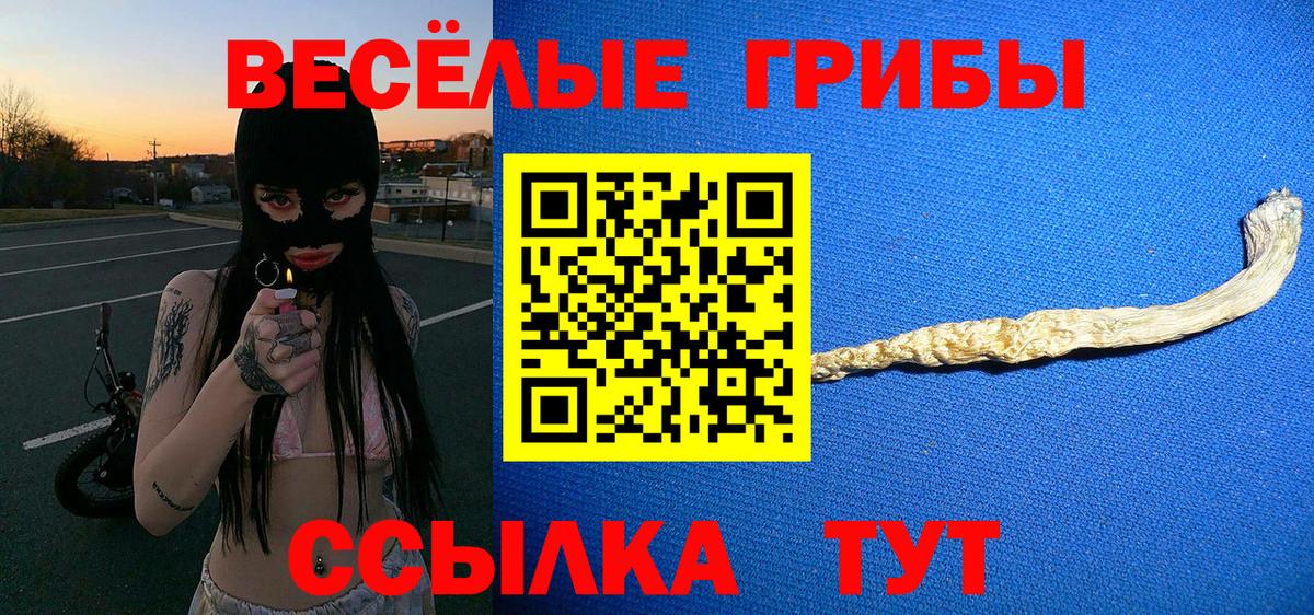 Псилоцибиновые грибы Psilocybe  Вход с VPN  Кудрово 